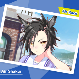 AirRace.png